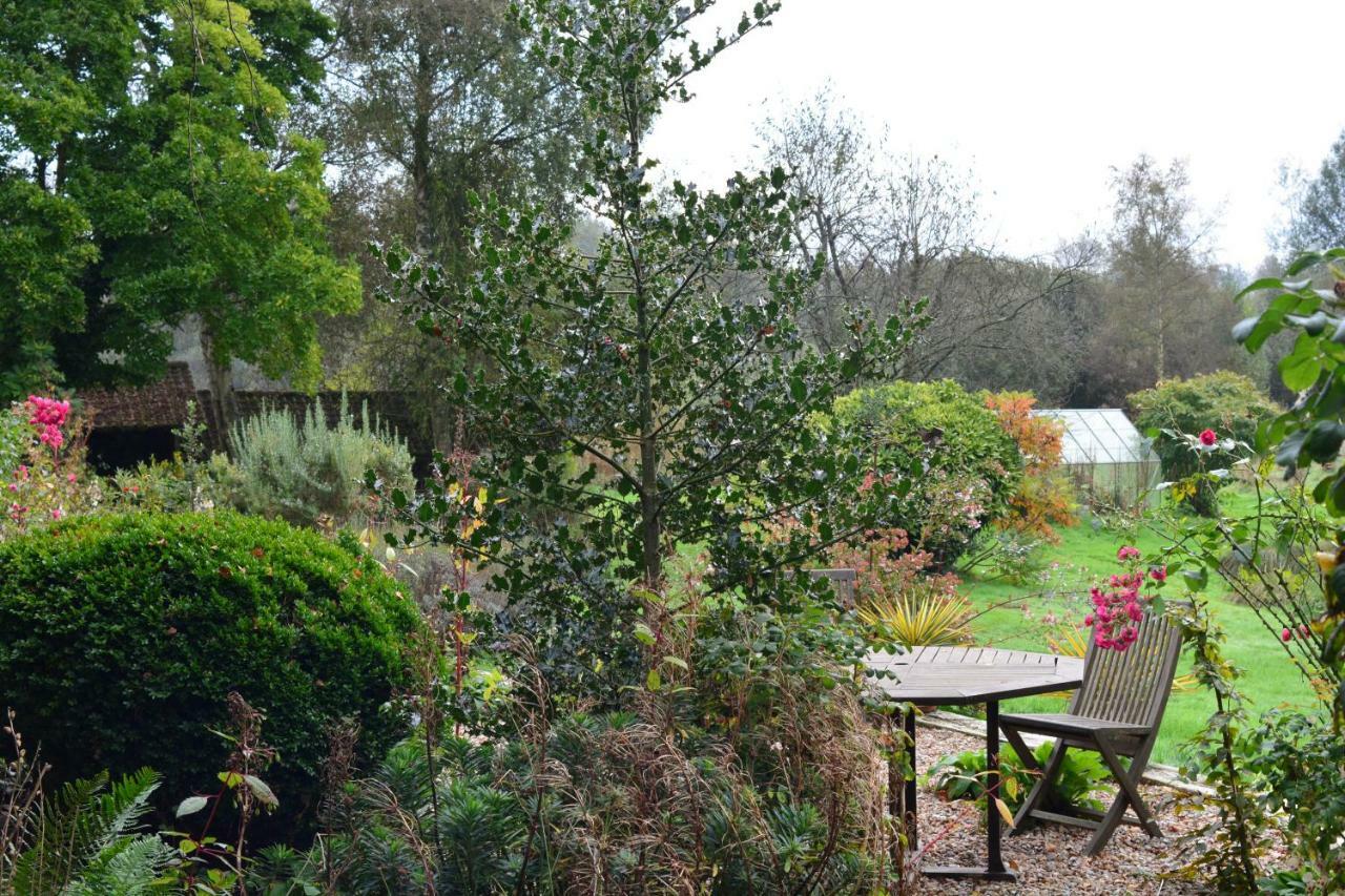 Le Jardin Sauvage Bed & Breakfast Maintenay Exterior photo