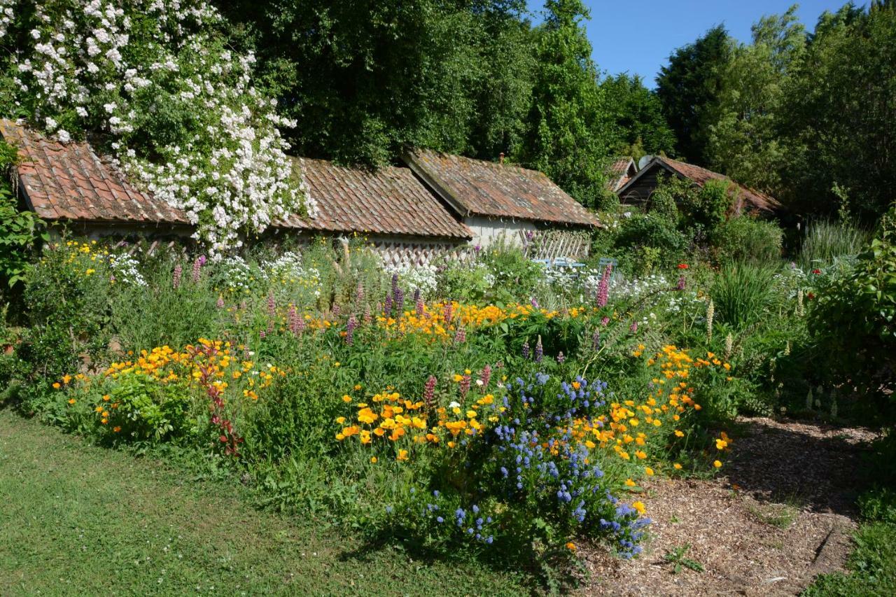 Le Jardin Sauvage Bed & Breakfast Maintenay Exterior photo