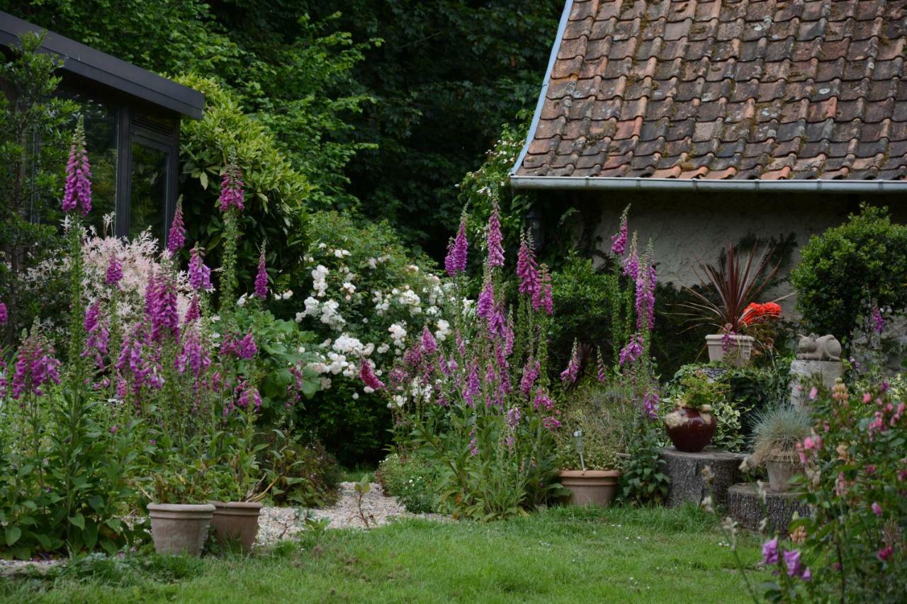 Le Jardin Sauvage Bed & Breakfast Maintenay Exterior photo